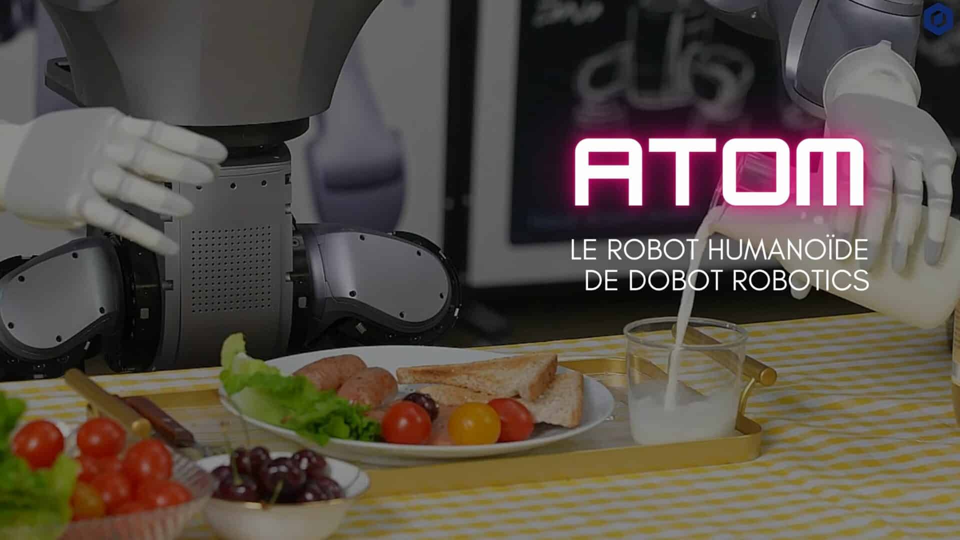 Atom, le robot humanoïde qui s’occupe de tout à la maison